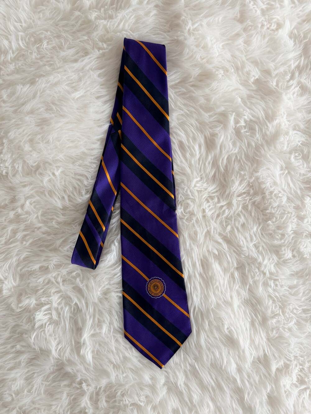 Roman Catholic High School Official Uniform Striped Necktie